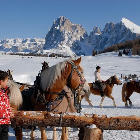Dolomites Living Hotel Tirler ألب دي سوزي المظهر الخارجي الصورة