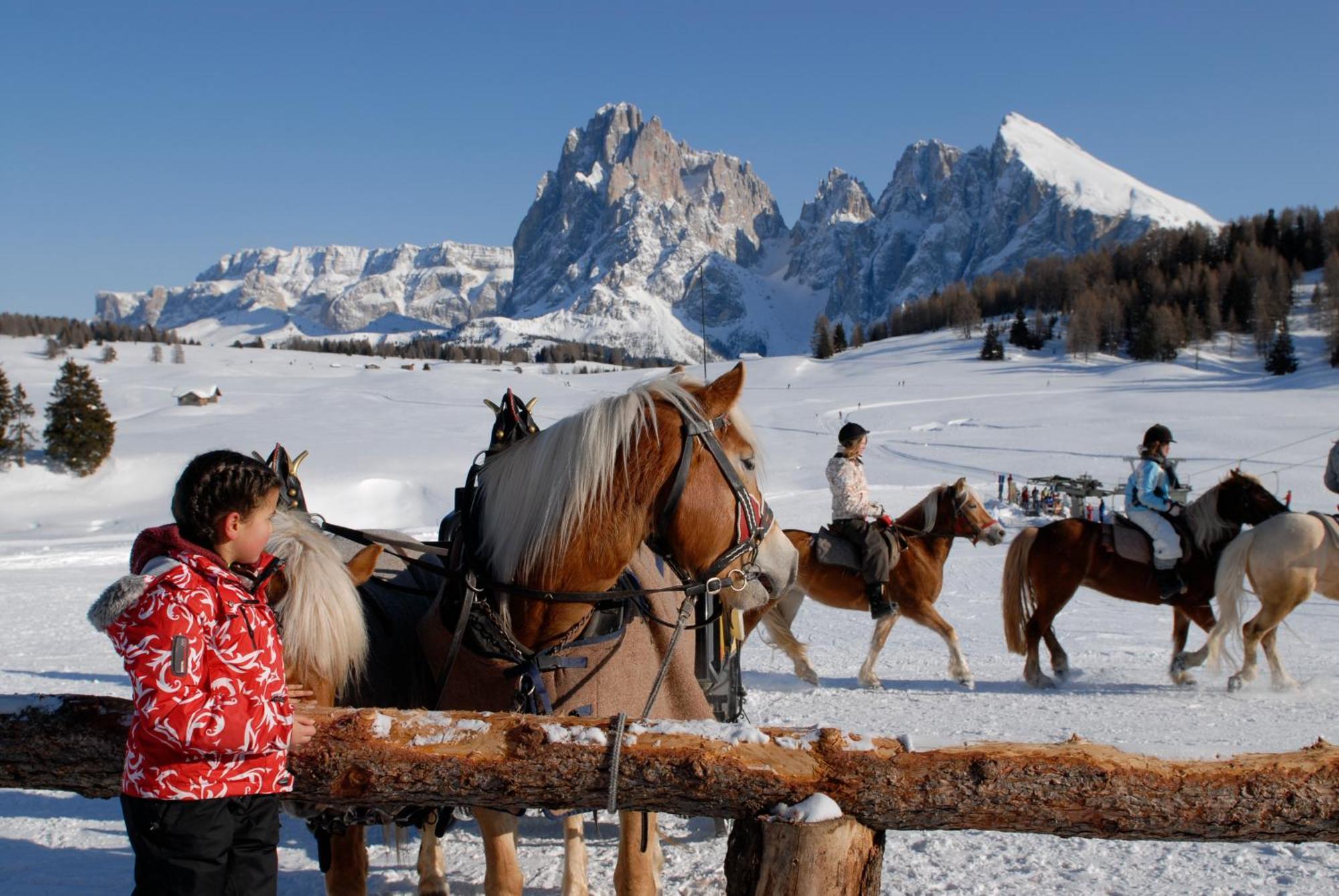 Dolomites Living Hotel Tirler ألب دي سوزي المظهر الخارجي الصورة